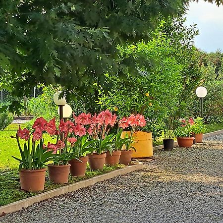 Borgo Baru Hotel Sant'Andra Bagian luar foto